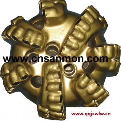 鉆采設(shè)備PDC drill bit