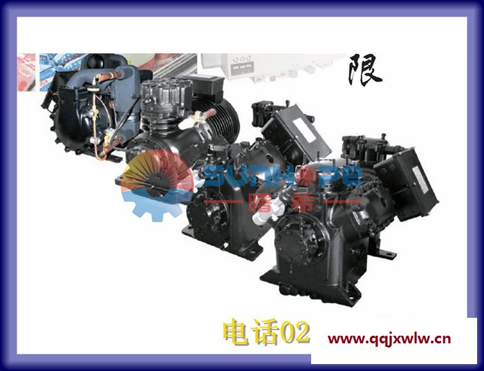 【曙希供應(yīng)】 BFS51沈陽(yáng)谷輪活塞壓縮機(jī) 冷庫(kù)冷水制冰海鮮機(jī)-沈陽(yáng)谷輪壓縮機(jī)