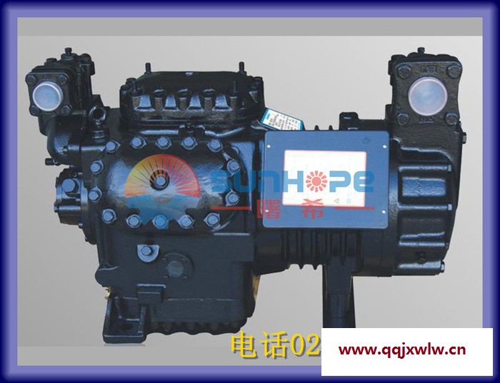 【曙希供應(yīng)】 BFS51沈陽(yáng)谷輪活塞 壓縮機(jī)  冷庫(kù)冷水制冰海鮮機(jī)-沈陽(yáng)谷輪壓縮機(jī)