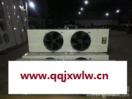 供應冷庫冷風機 山東冷庫設備 DJ30平方 ** 冷凝器 冷庫冷風機** 制冷設備批發(fā)  FNH型風冷凝器批發(fā)