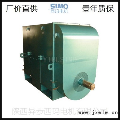 石家莊高壓電機(jī)YKK4003-6/250KW壓縮機(jī)高壓電動機(jī)生產(chǎn)廠家