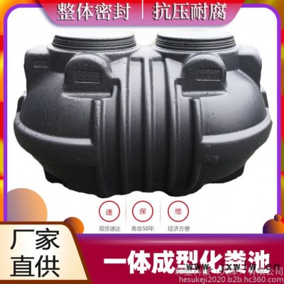 一次成型滾塑加厚化糞池新型國(guó)標(biāo)化糞池廠家制造