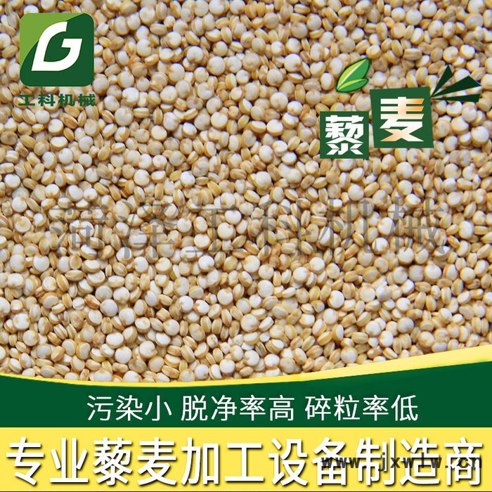 精谷藜麥6FT-B10 除藜麥皂苷設備脫皮機 拋光機成套機組