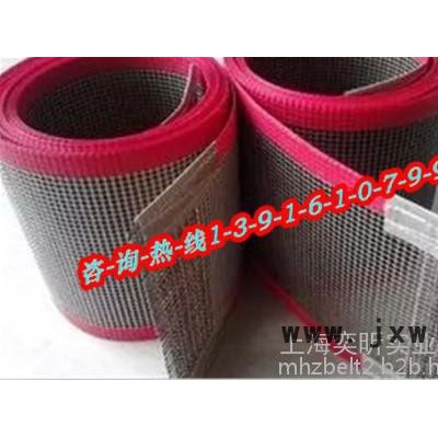 輸送帶-專業(yè)生產(chǎn)-UV光固機特氟龍皮帶，烘房輸送帶， 耐高溫網(wǎng)格輸送帶