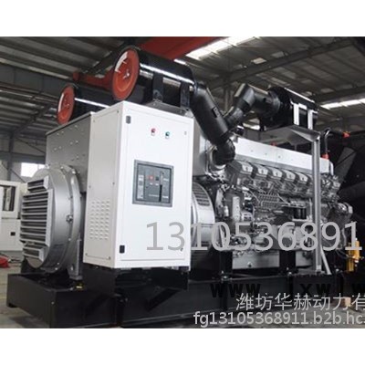 日本三菱1600kw柴油發(fā)電機(jī)組 原裝進(jìn)口S16R-PTAA2發(fā)動(dòng)機(jī) 配全銅電機(jī)