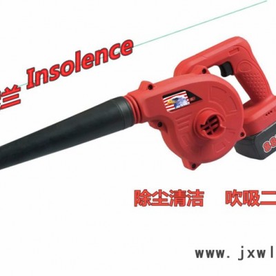 英索蘭吹風(fēng)機 Insolence經(jīng)濟型家庭裝吹風(fēng)機 21V吹風(fēng)機