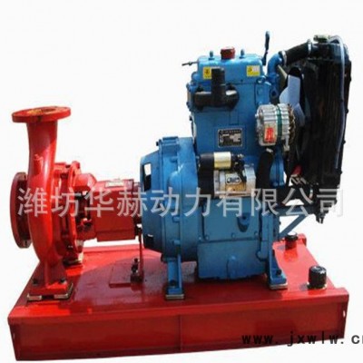移動(dòng)抗洪小水泵機(jī)組專用發(fā)動(dòng)機(jī)ZH2110D直噴柴油機(jī)  15kw水泵用柴油機(jī)