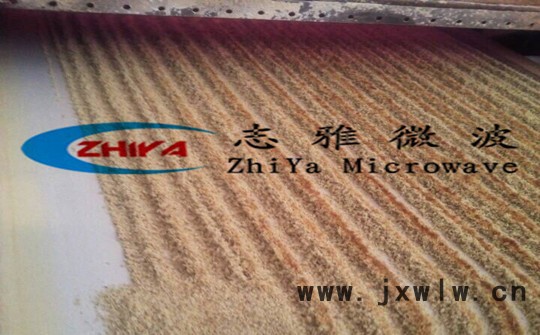 馳騰CT-5P微波干燥設備大棗烘干機