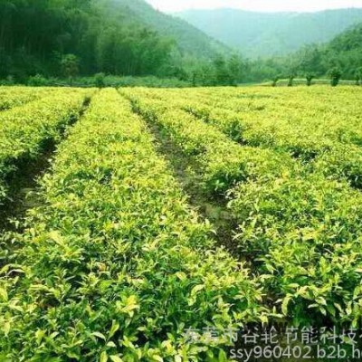 廣東谷輪茶葉烘干機、茶葉烘干房、節(jié)電節(jié)能設備、箱式干燥設備