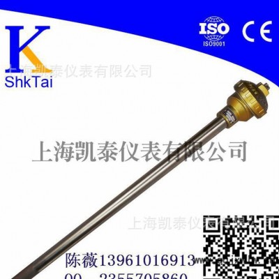 專業(yè)制造溫度儀表 WRN-130無(wú)固定裝配式熱電偶長(zhǎng)度3米